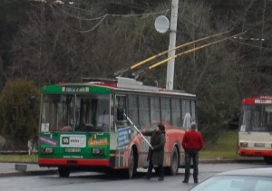 Vairuotoja plauna