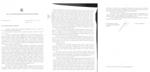 2013-03-03_rastas