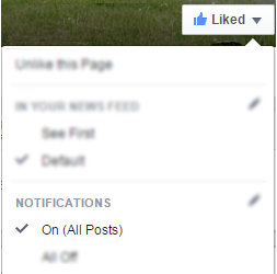 FB_like_EN