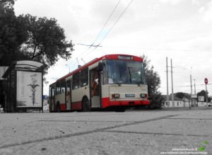 13 maršruto troleibusas Naugarduko žiede, 2013-06-30